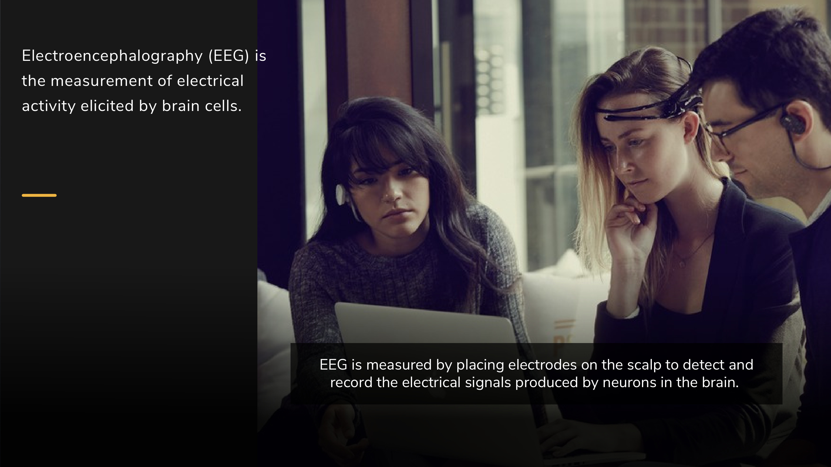 Wellness screenshot 3